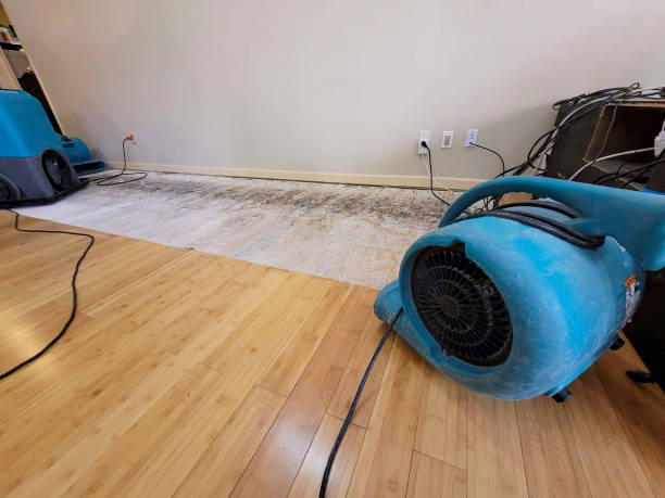 Professional Ceiling Water Damage Repair technician working in Neilton, WA